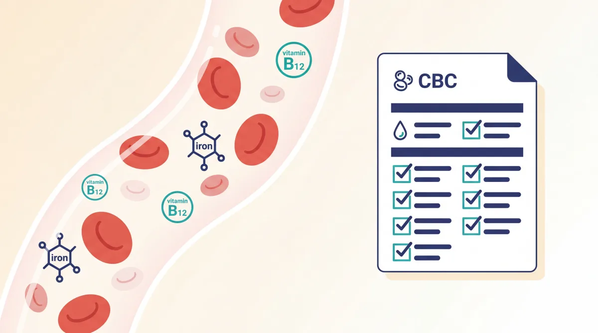 فقر الدم (الأنيميا): الأسباب والأعراض والتحاليل المخبرية الضرورية